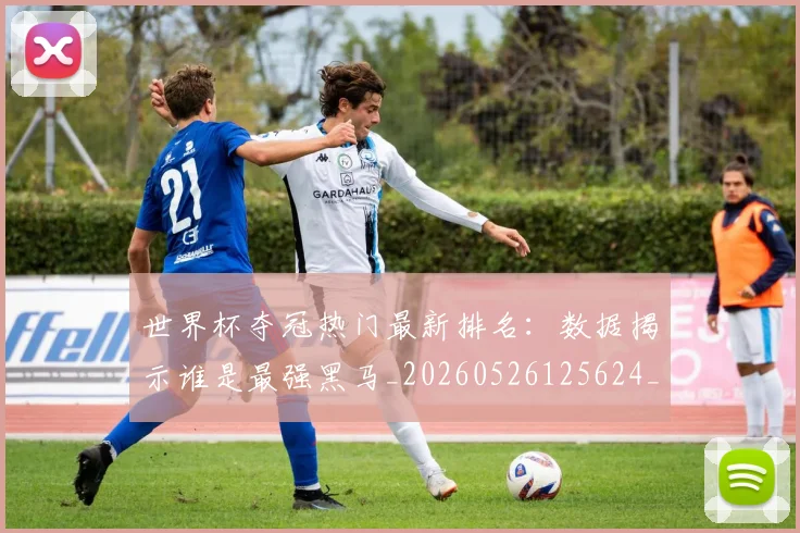 世界杯夺冠热门最新排名:数据揭示谁是最强黑马_20260526125624_20260702173807